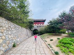 -云岗森林公园