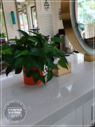 -SY水源护肤造型