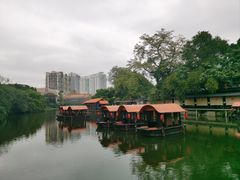 -侨美·唐荔园·40年地道粤菜