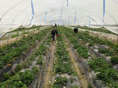 -侬佳蒸菜馆(听潮店)