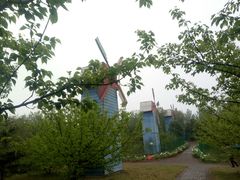 -洛阳郁金香牡丹园