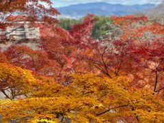 -常寂光寺