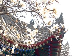 -西安市广仁寺