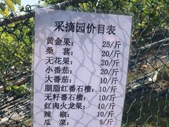 -南沙蒲洲花园