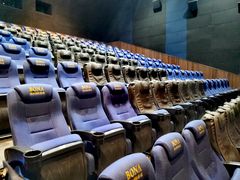 -博纳国际影城IMAX(中央大道店)