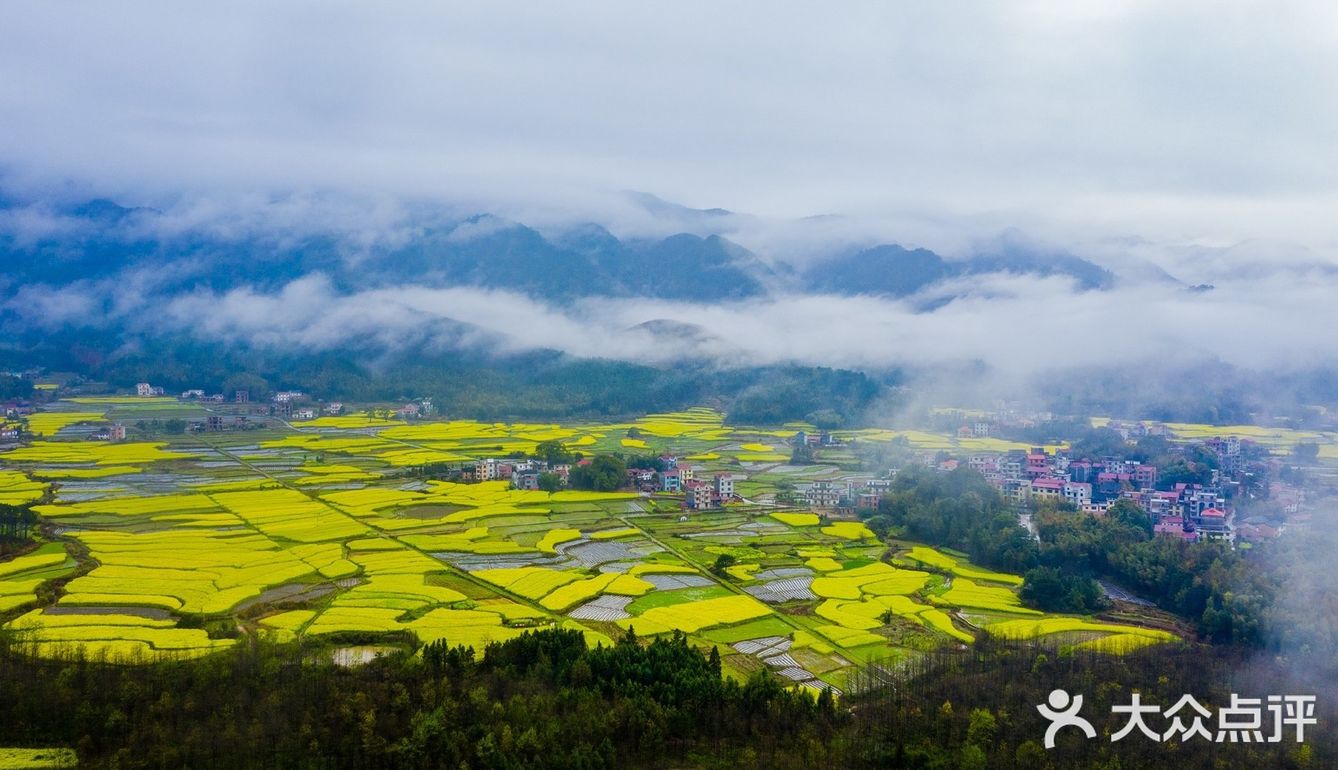 春意在田间地头慢慢铺开，万亩油菜花成片绽放