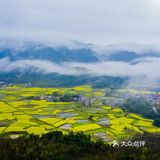 春意在田间地头慢慢铺开，万亩油菜花成片绽放