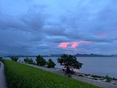 -深圳湾公园(南山区)