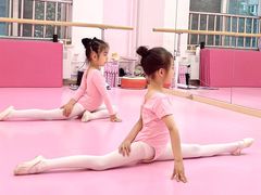 -桃子公主舞蹈培训(万柳校区)