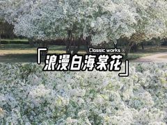 -汇泉广场