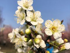 -蜀冈西峰生态公园