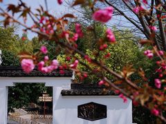 -求雨山文化公园