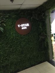 -V-STAR威斯达•高级私人定制