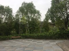 -自然谷恐龙园