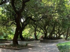 -人民公园(罗湖区)