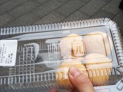 -闻酥园(青羊区人民中路店)