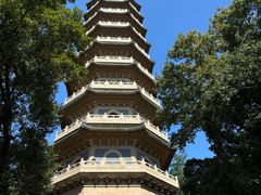 -灵谷景区
