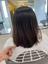 -潘多拉Hairsalon