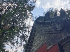 -泰山风景名胜区-普照寺