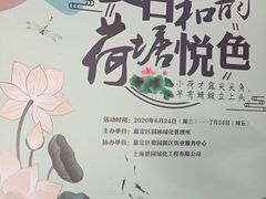 -陈家山荷花公园
