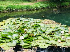 -长白岛森林公园