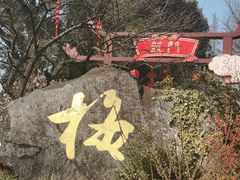 -无锡梅园公园