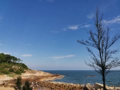 -广东惠东海龟国家级自然保护区