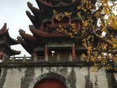 -南海禅寺