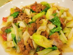-曾牛肉