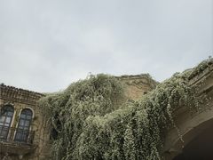 -成都当代影像馆