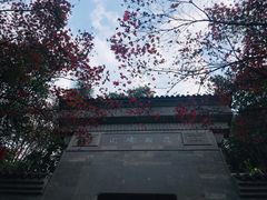 -大慈岩风景区