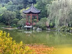 -云溪植物园