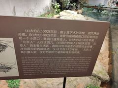 -北京周口店北京人遗址博物馆
