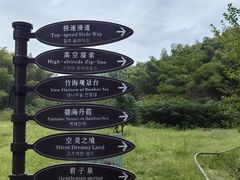 -宁波浙东大竹海景区