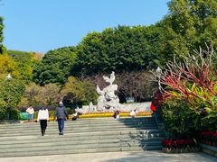-金鸡山公园