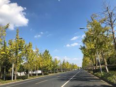 -一麦·龙岛(上海青浦店)