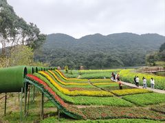 -广州市石门国家森林公园