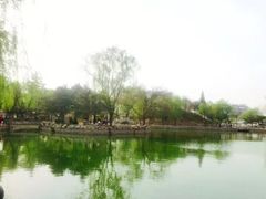 -黄村公园