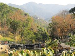 -广州市石门国家森林公园