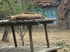 -齐齐哈尔龙沙动植物园