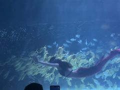 -常州海昌海洋探索馆