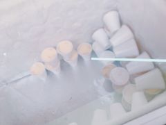 -洪馨椰子