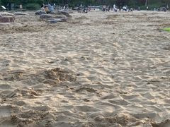 -青枫公园