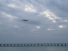 -宝安西湾红树林湿地公园