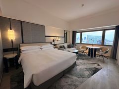 -新加坡乌节希尔顿酒店 (SG Clean)