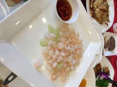 金太仓宾馆-金太仓宾馆
