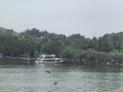 -湖畔居茶楼(湖滨店)