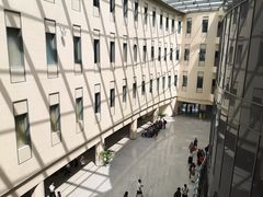 -首都医科大学附属北京天坛医院