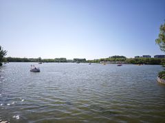 -大兴滨河森林公园