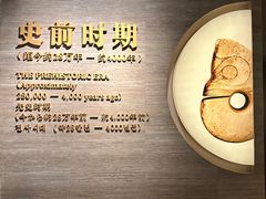-辽宁省博物馆
